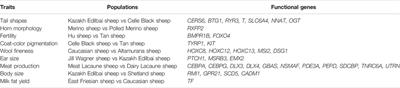 Whole-Genome Selective Scans Detect Genes Associated With Important Phenotypic Traits in Sheep (Ovis aries)